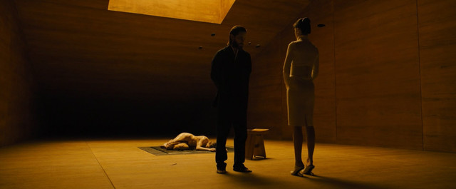 Sallie Harmsen nude - Blade Runner 2049 (2017)