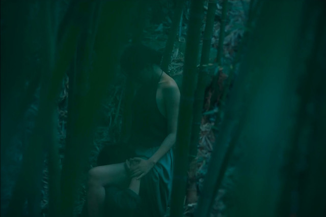 Nguyen Phuong Tra My nude - The Third Wife (2018)