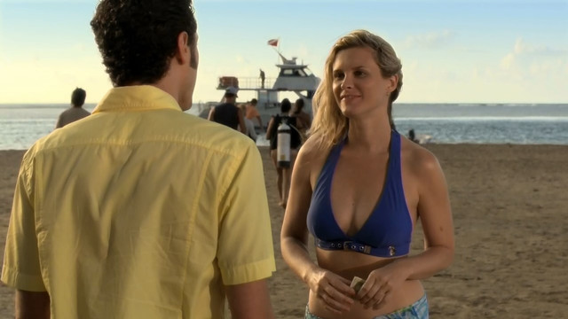 Bonnie Somerville sexy - Royal Pains s02e04 (2010)