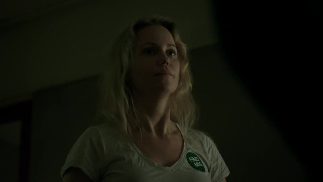 Sofia Helin nude - The Bridge s03e04 (2011)