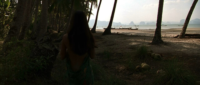 Anne Heche nude – Return to Paradise (1998)