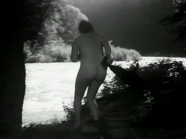 Miriam Kantorkova nude - Romance pro kridlovku (1966)