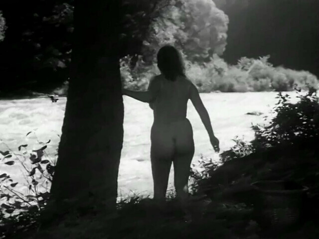 Miriam Kantorkova nude - Romance pro kridlovku (1966)