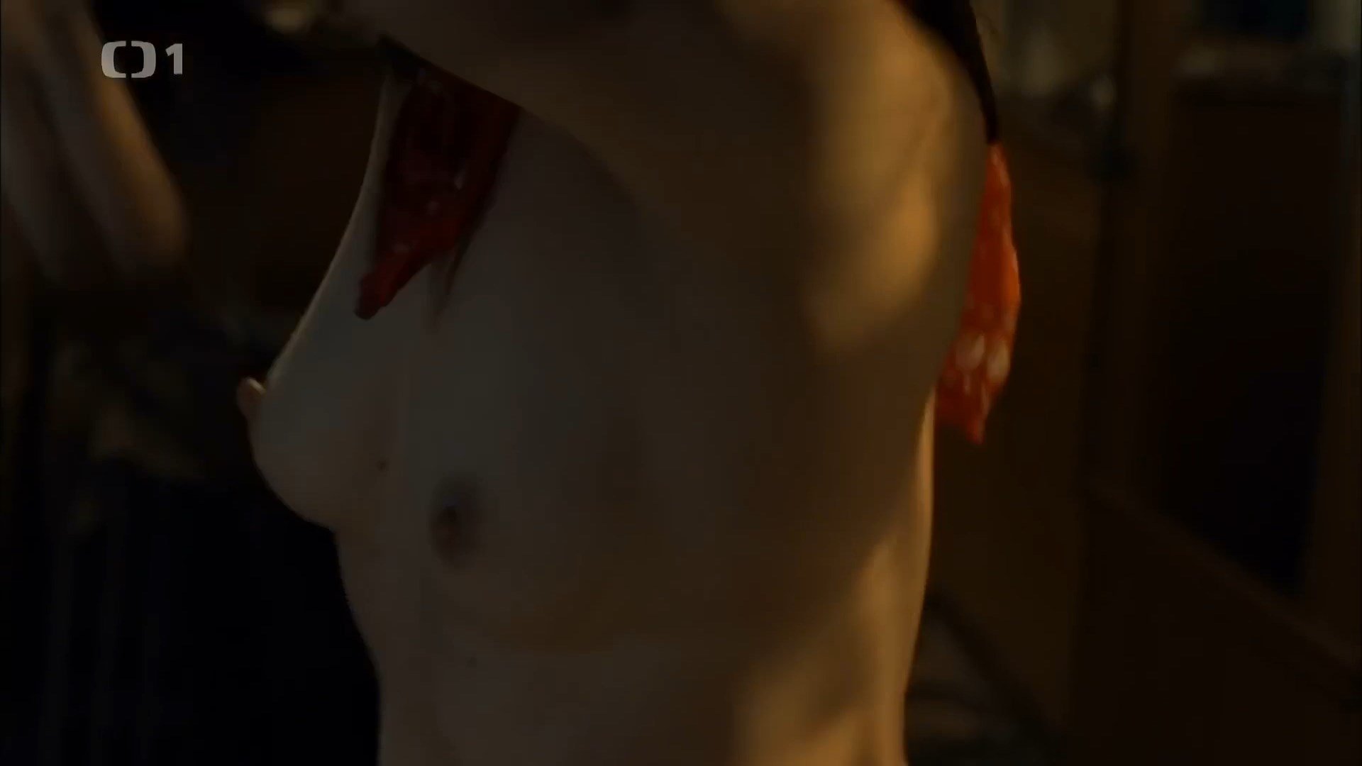 Tatiana Vilhelmova nude - Nevinne lzi s02e03 (2014)