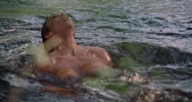 Danitza Kingsley nude, Mindi Miller nude - Amazons (1986)