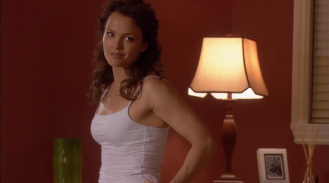 Dina Meyer sexy - Web of Desire (2009)