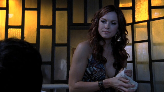 Amanda Schull sexy, Bethany Joy Lenz sexy, Danneel Ackles sexy – One tree hill s07e08 (2009)