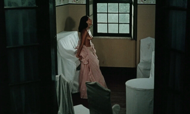 Sonia Braga nude – Dona Flor e Seus Dois Maridos (1976)