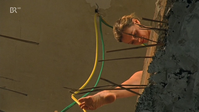 Catherine Flemming nude - Die Meute der Erben (2000)