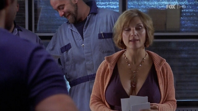 Teryl Rothery nude - The Guard s01-02 (2008-2009)