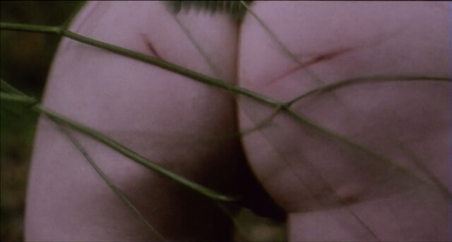 Anna Gorynsztejn nude – Belle de nature (2009)