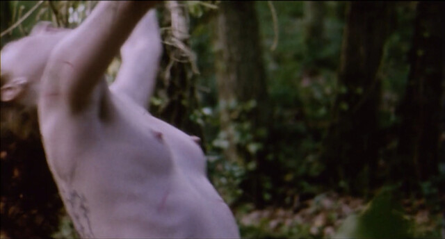 Anna Gorynsztejn nude – Belle de nature (2009)