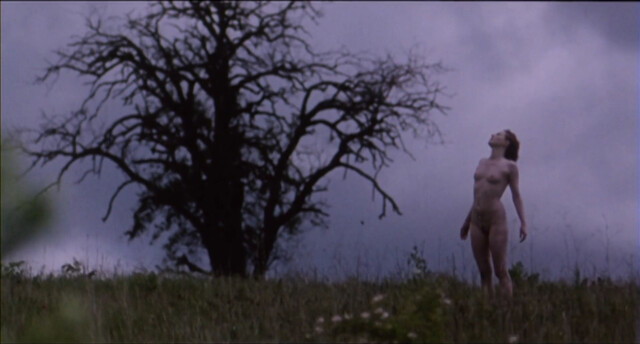 Anna Gorynsztejn nude – Belle de nature (2009)