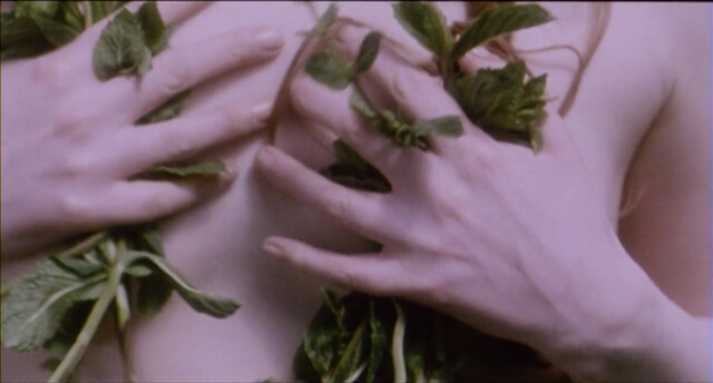 Anna Gorynsztejn nude – Belle de nature (2009)