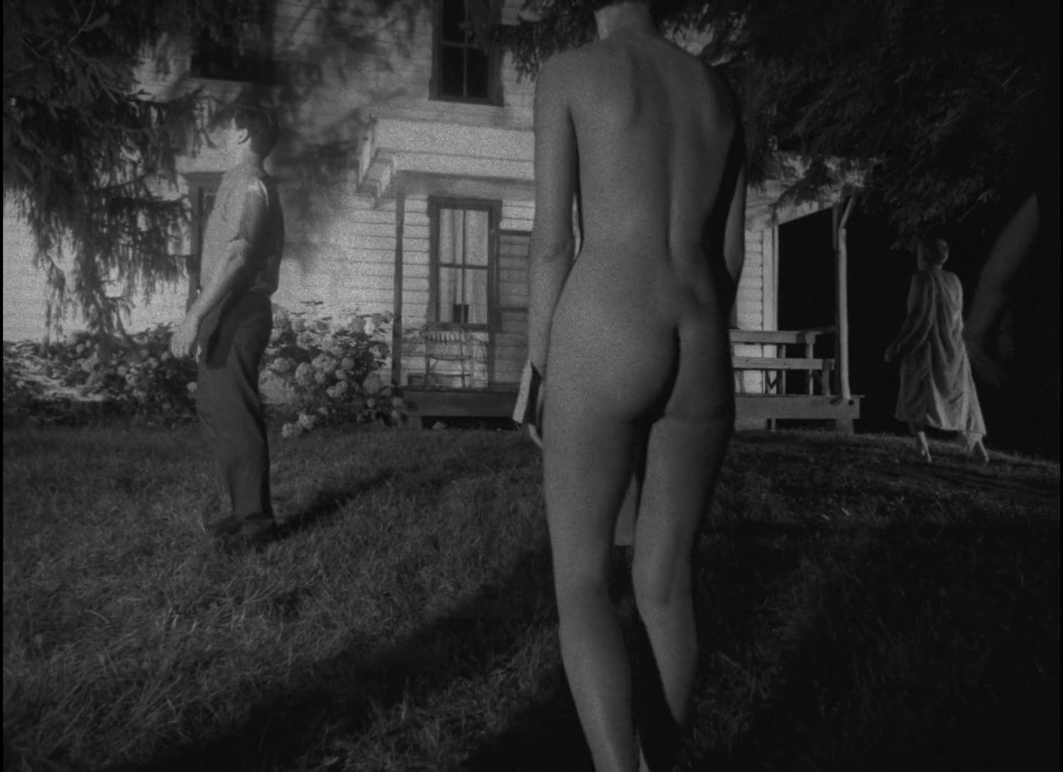 Carol Wayne nude – Night of the Living Dead (1968)