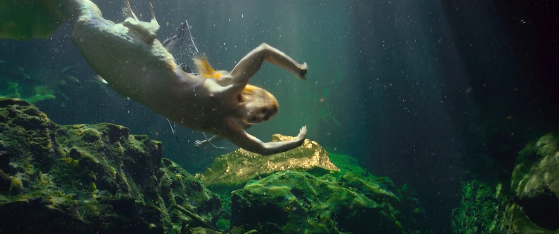 Unknown nude – Rheingold (2022)