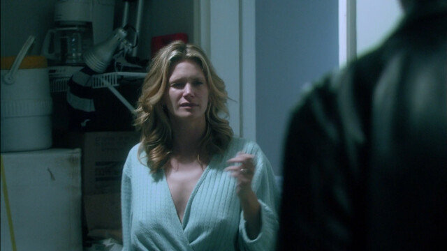 Natasha Henstridge sexy – Would Be Kings (2008)