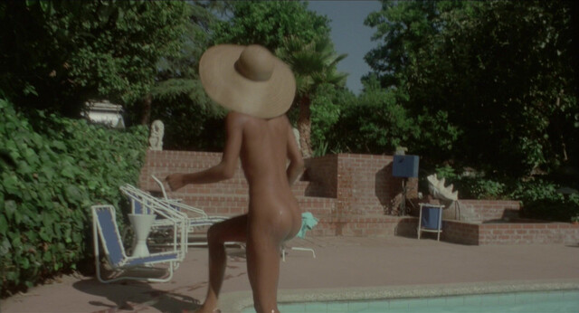 Tanya Boyd nude - Black Shampoo (1976)