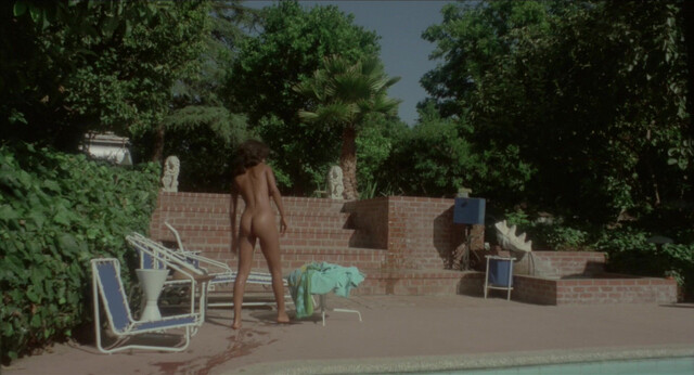 Tanya Boyd nude - Black Shampoo (1976)