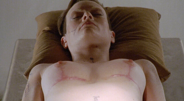 Yvonne Emilie Thaelker nude – Black Eyed Susan (2024)