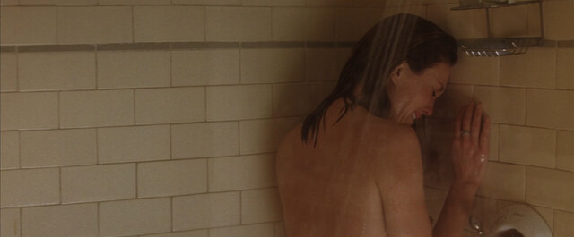 Diane Lane nude – Must Love Dogs (2005)