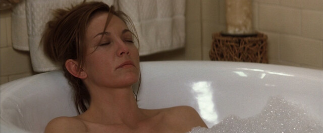 Diane Lane nude – Must Love Dogs (2005)