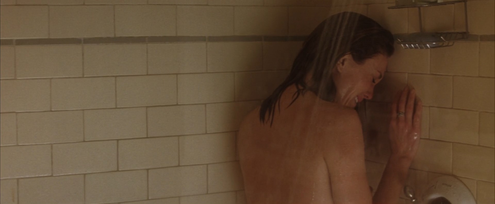 Diane Lane nude – Must Love Dogs (2005)