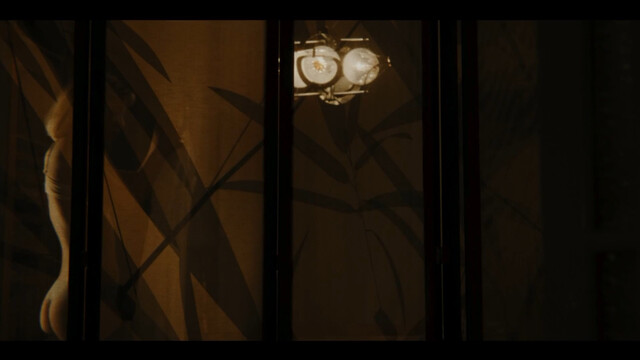 Masa Djordjevic sexy – Nedelja (2024)