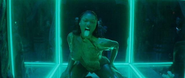 Megan Thee Stallion nude – Cobra (2024)