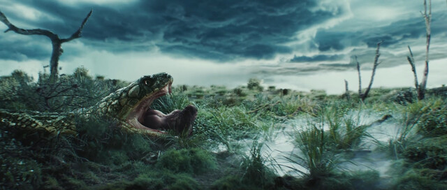 Megan Thee Stallion nude – Cobra (2024)