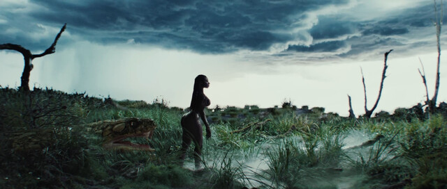 Megan Thee Stallion nude – Cobra (2024)