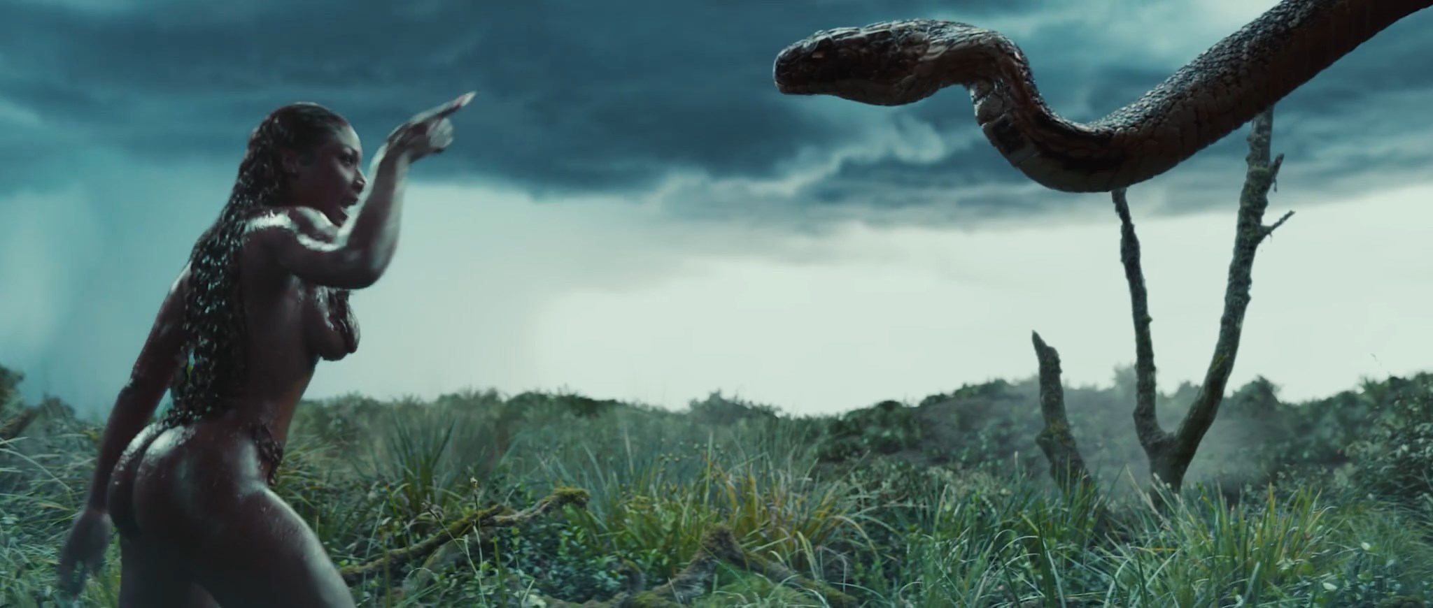 Megan Thee Stallion nude – Cobra (2024)