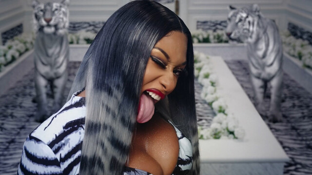 Megan Thee Stallion nude – Megan Thee Stallion In Her Words (2024)
