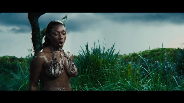 Megan Thee Stallion nude – Megan Thee Stallion In Her Words (2024)