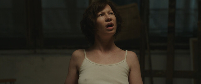 Birgit Minichmayr nude – Mit einem Tiger schlafen (2024)