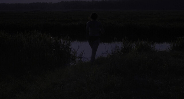 Joanna Zurawska-Federowicz nude – It Happens (Staje się) (2016)