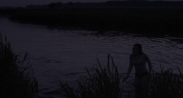 Joanna Zurawska-Federowicz nude – It Happens (Staje się) (2016)