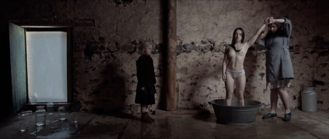 Aurélia Poirier nude – La cinquième saison (2012)