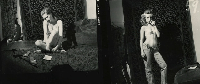 Shere Hite nude – The Disappearance of Shere Hite (2023)