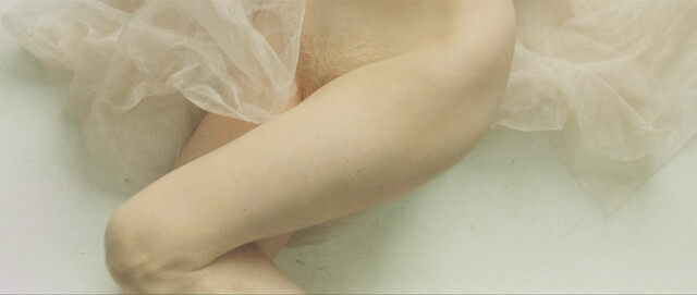 Shere Hite nude – The Disappearance of Shere Hite (2023)