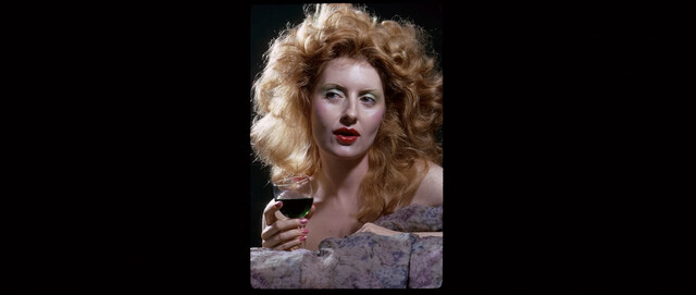 Shere Hite nude – The Disappearance of Shere Hite (2023)