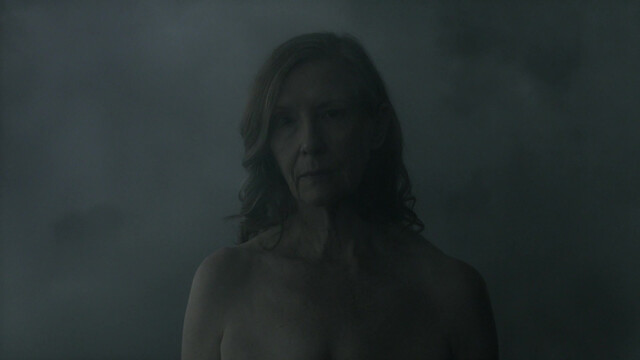 Frances Conroy nude - The Mist s01e07 (2017)
