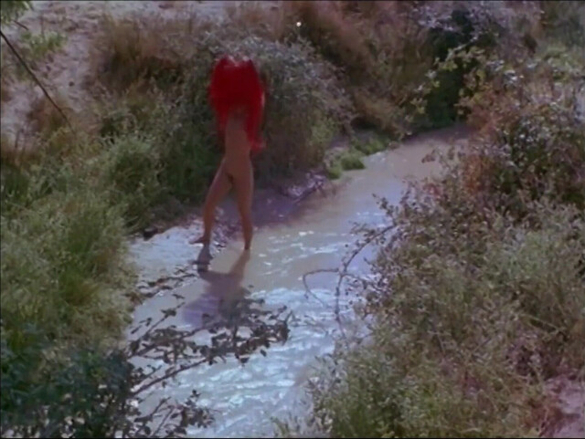 Ellen Barkin nude - Siesta (1987)