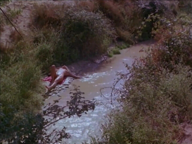 Ellen Barkin nude - Siesta (1987)