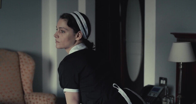 Ariane Labed sexy, Angeliki Papoulia nude - The Lobster (2015)