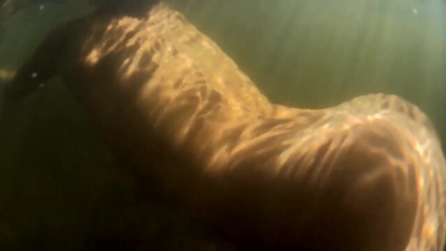 Taylor Sands nude, Danielle Rose nude, Lidia Banach nude, Elen Moor nude - Picture of Beauty (2017)