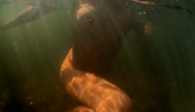 Taylor Sands nude, Danielle Rose nude, Lidia Banach nude, Elen Moor nude - Picture of Beauty (2017)