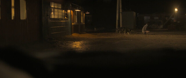 Vasilisa Zemskova nude – The Criminal Man (2019)