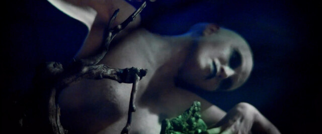 Angelica Ulloa nude – Moon Garden (2022)