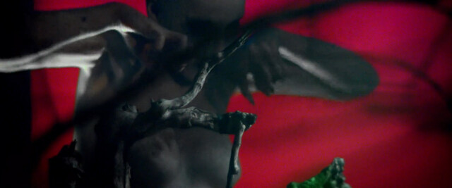 Angelica Ulloa nude – Moon Garden (2022)